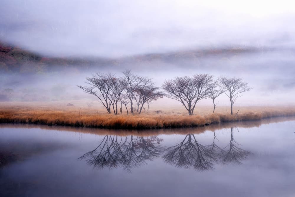 Misty River Reflections by K_Tsunoda — canvas wall art
