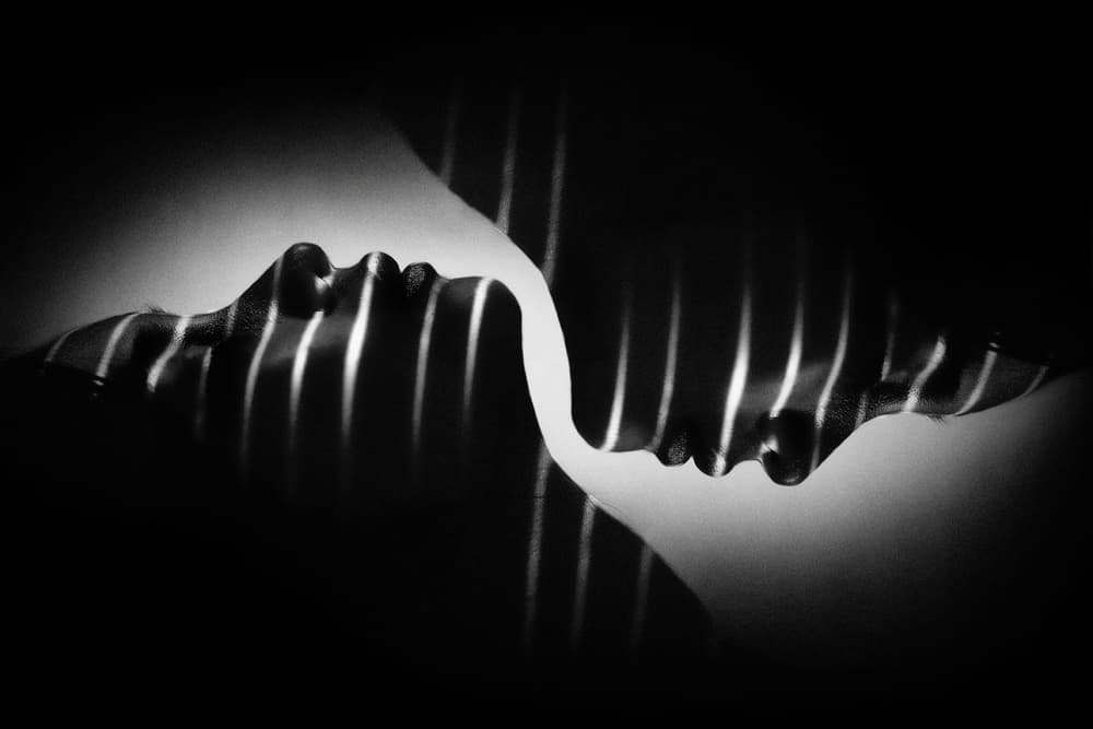 Elegant Striped Profiles by Teguh Yudhi Winarno — canvas wall art