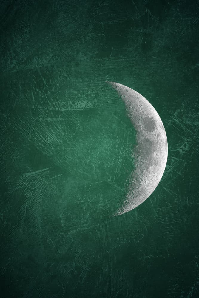 Dark Green Crescent Moon by Ema Paraschiv — canvas wall art