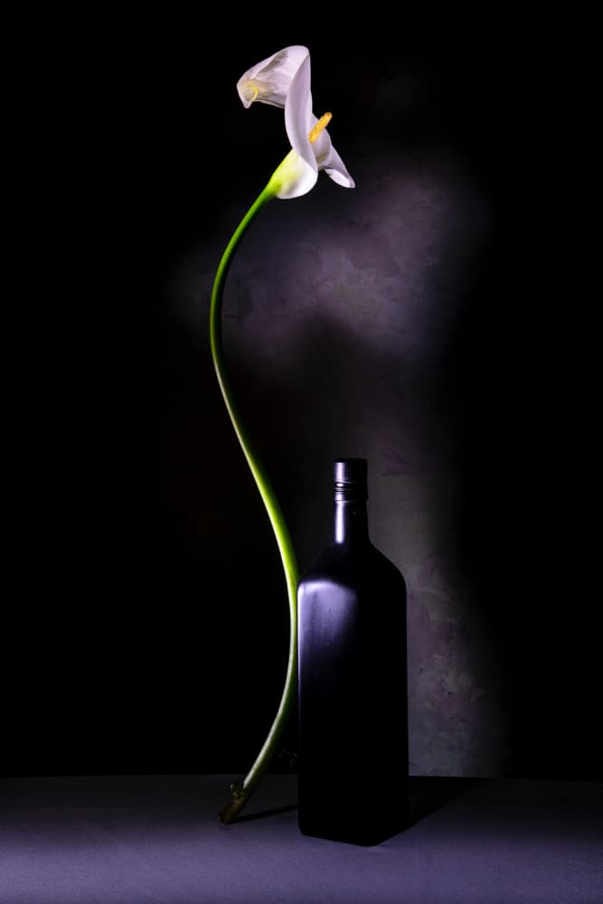 Elegant Calla Lily Still Life by Felice Angelino — canvas wall art