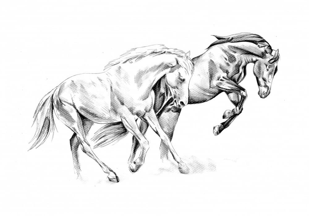 Spirited Equine Dance by Kulik — canvas wall art