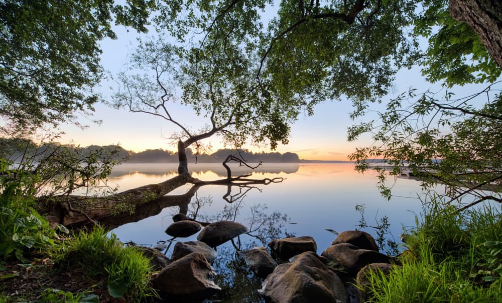 Misty Lake Morning by Keller — canvas wall art
