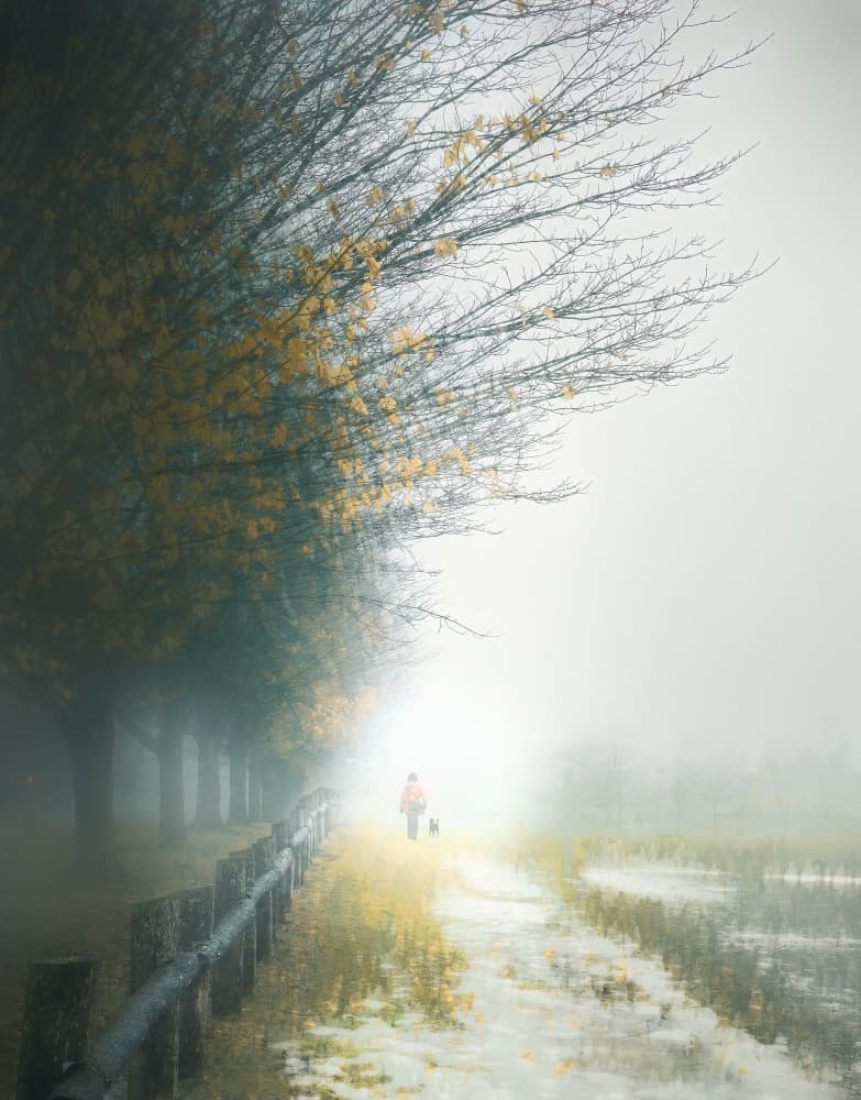 Foggy Autumn Walk by Gu and Hongchao — canvas wall art