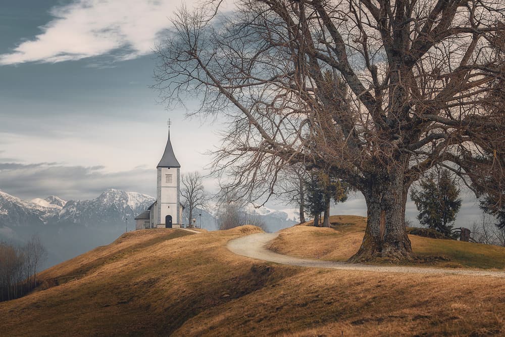 Ancient Tree Hilltop Church by Thomas de Franzoni — canvas wall art