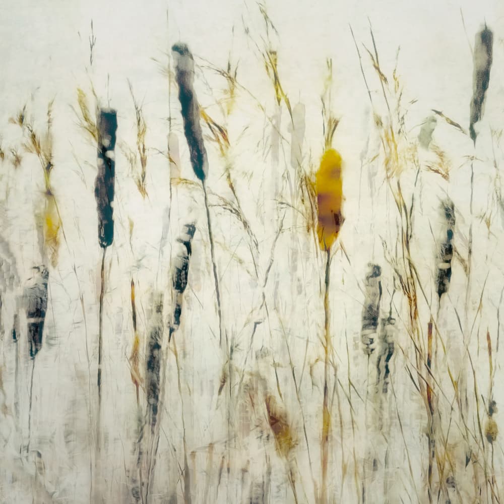 Cattail and reeds by Nel Talen — canvas wall art