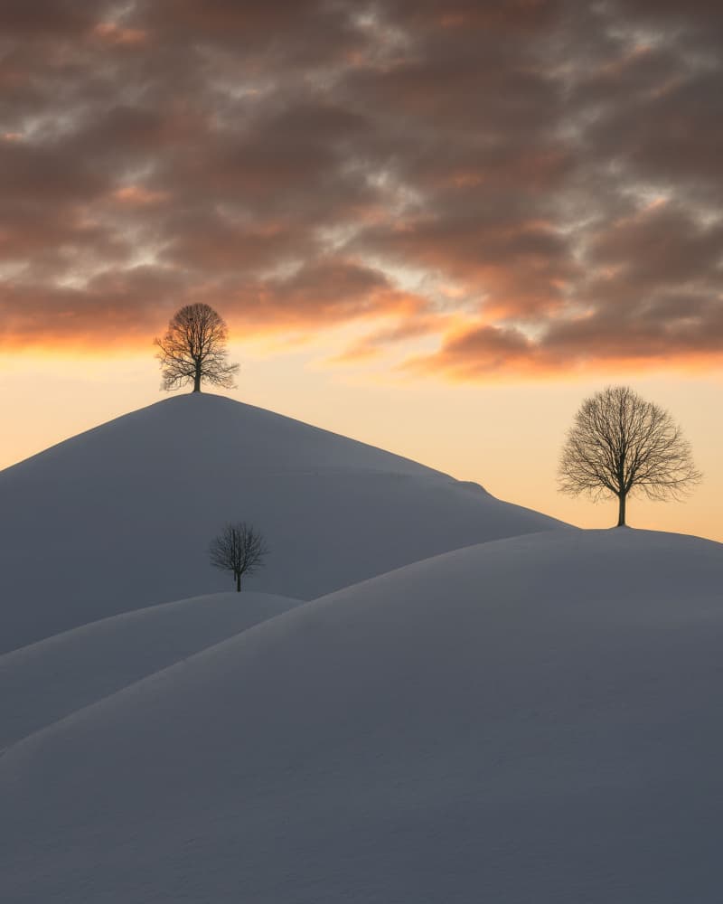 Winter Hills Golden Light by Carlo Salvati Proietti — canvas wall art
