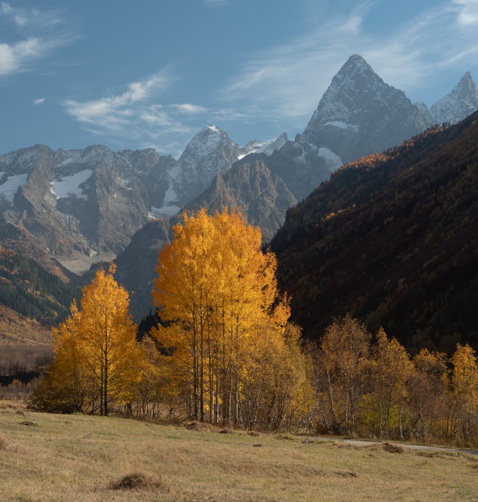 Golden Autumn Mountains by Arsen Alaberdov — canvas wall art