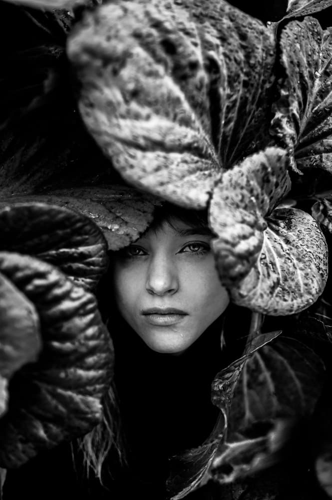 Gaze Through Foliage by Barbora Biňovcová — canvas wall art
