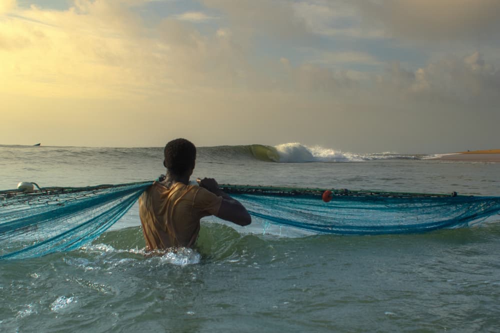 Golden Hour Fisherman by Anthony Fox — canvas wall art