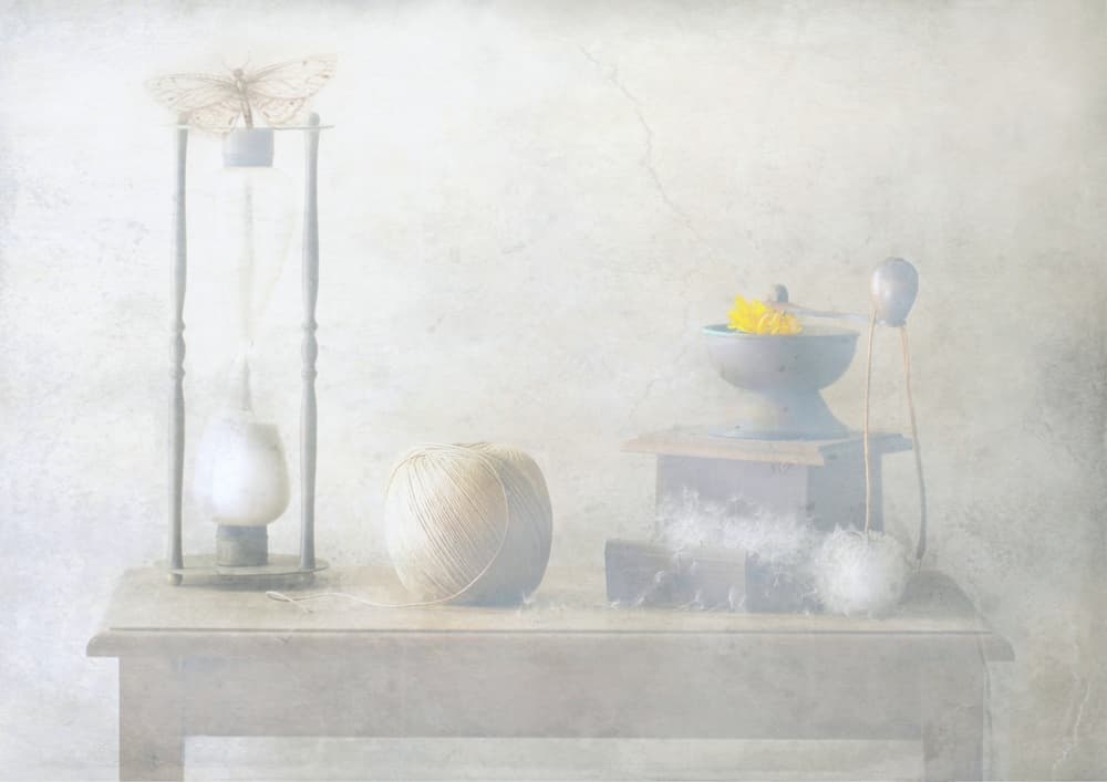 Moth on Hourglass by Delphine Devos — canvas wall art