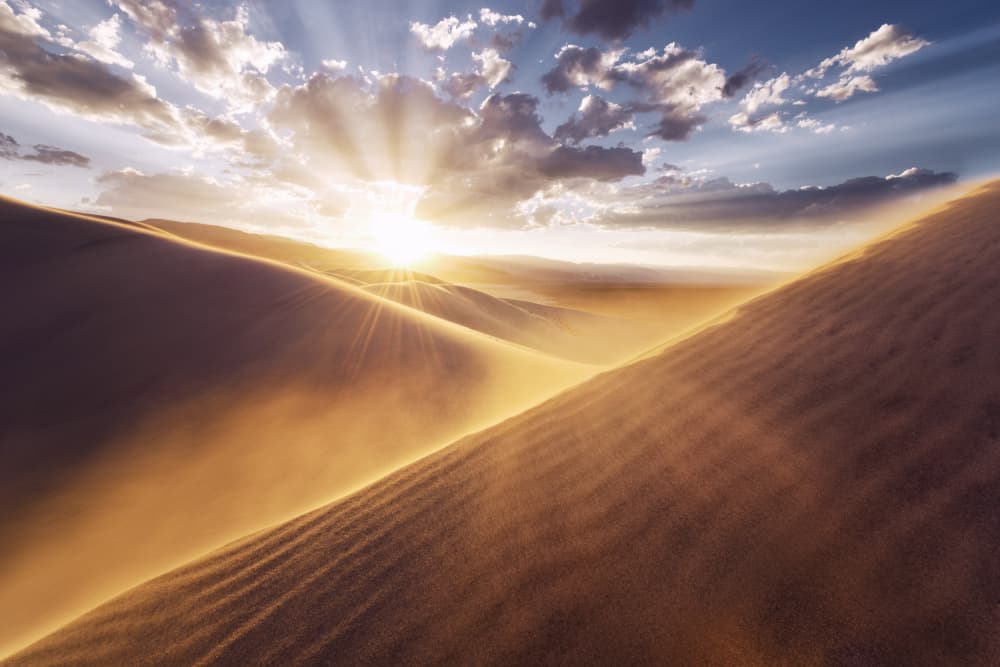 Gently Touched by Stefan Hefele — canvas wall art