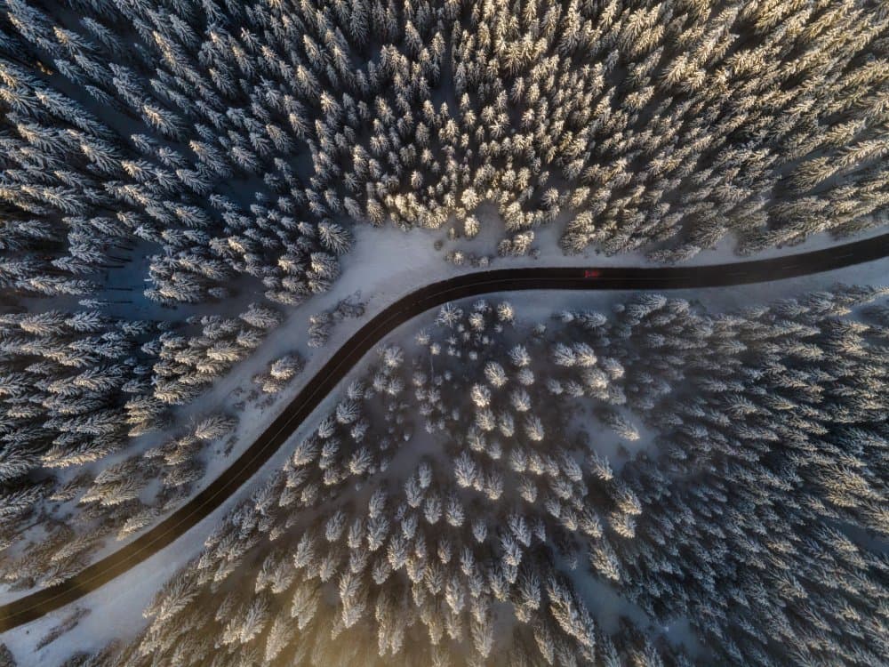 Winding Winter Road by Jakob Remar — canvas wall art