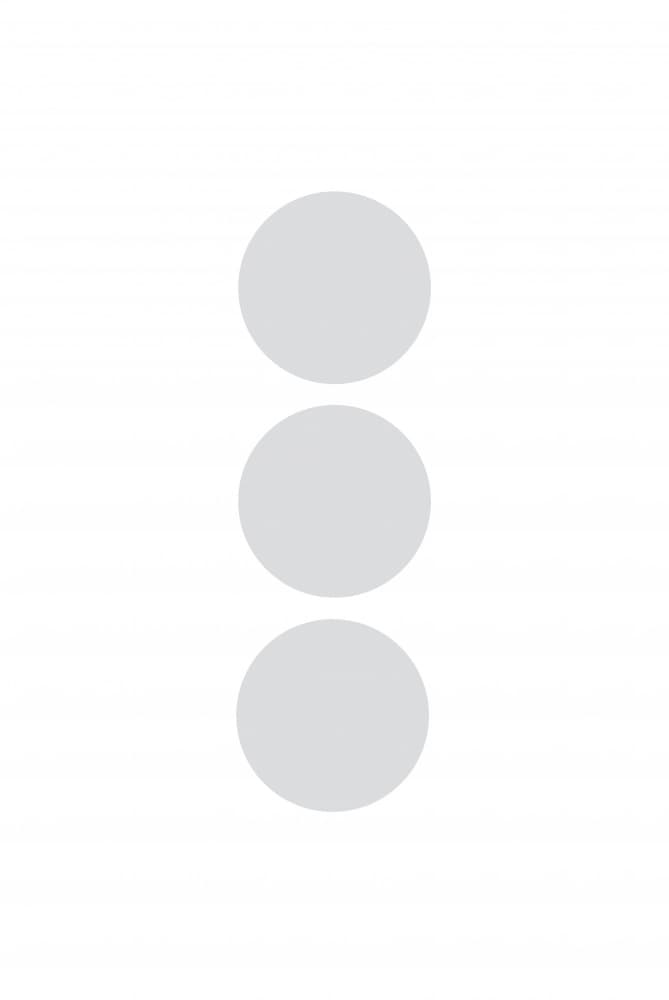 Three Grey Circles by Oju Design — canvas wall art