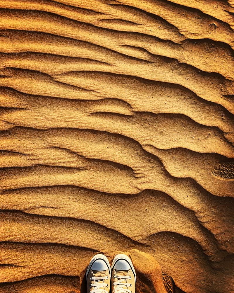 Golden Desert Journey by Barbara Orienti — canvas wall art