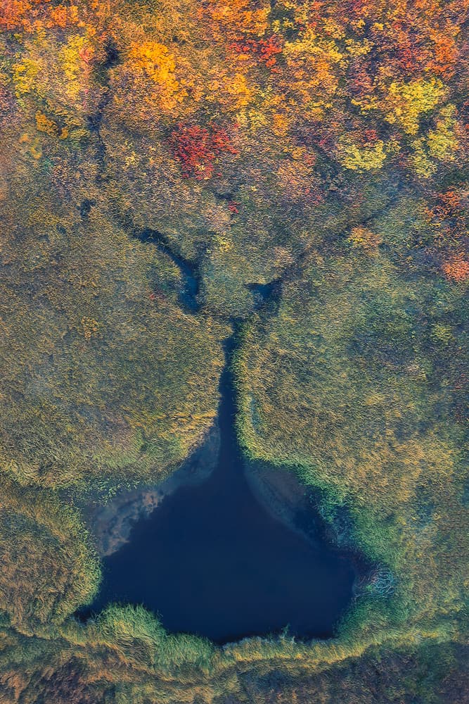 Vibrant Autumn Lake View by Mei Xu — canvas wall art