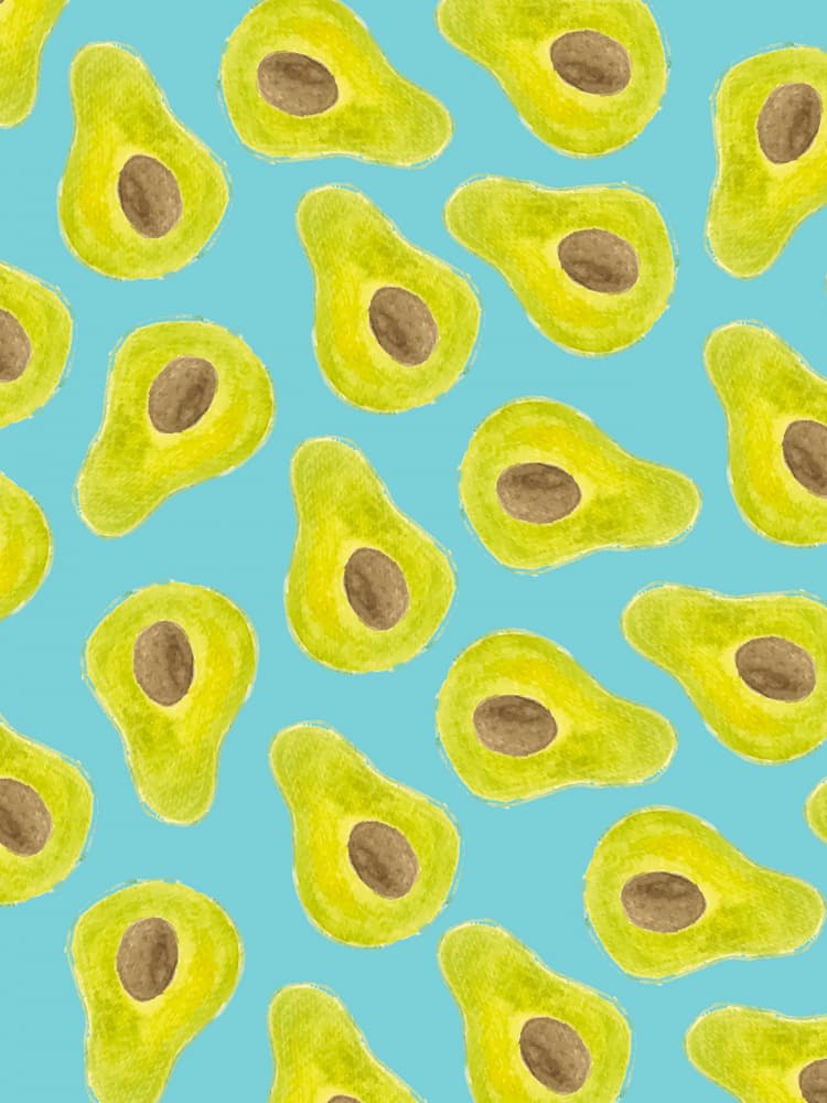 Fresh Green Avocados by Elizabeth C — canvas wall art