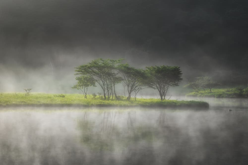 Misty Morning Lake by K_Tsunoda — canvas wall art