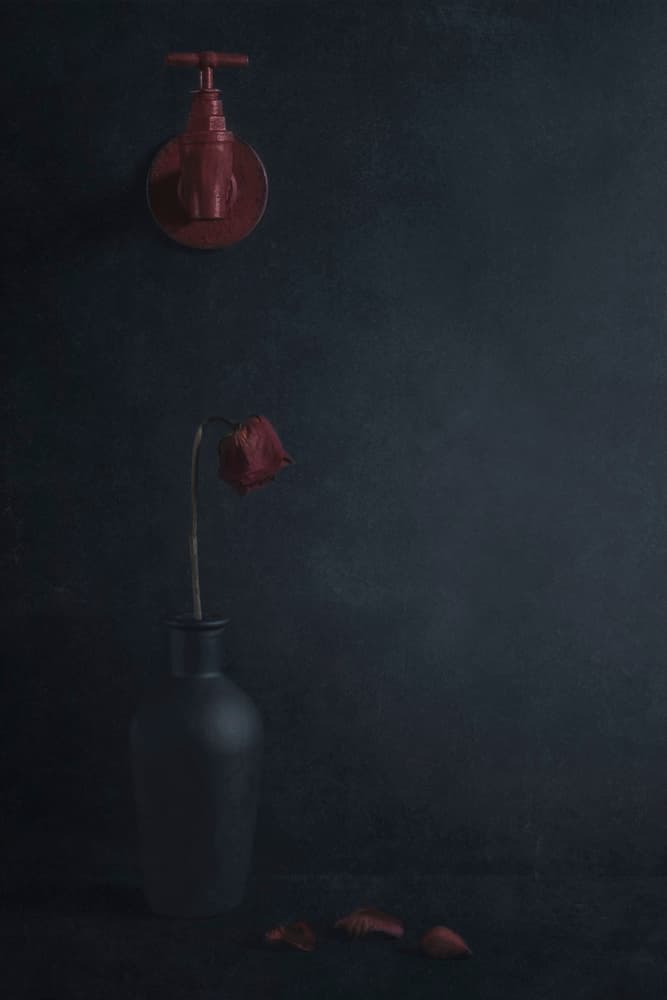 by Stephen Clough — canvas wall art