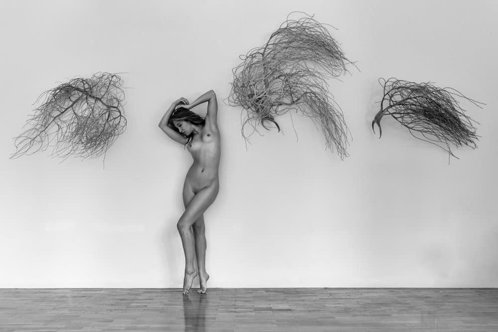 Nude Form And Branches by Ray Fritz — canvas wall art