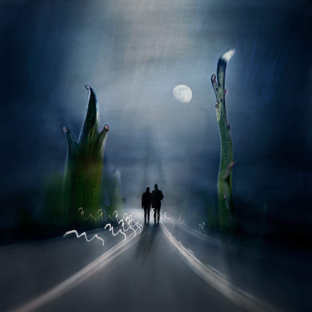 Mysterious Moonlit Path by Shenshen Dou — canvas wall art