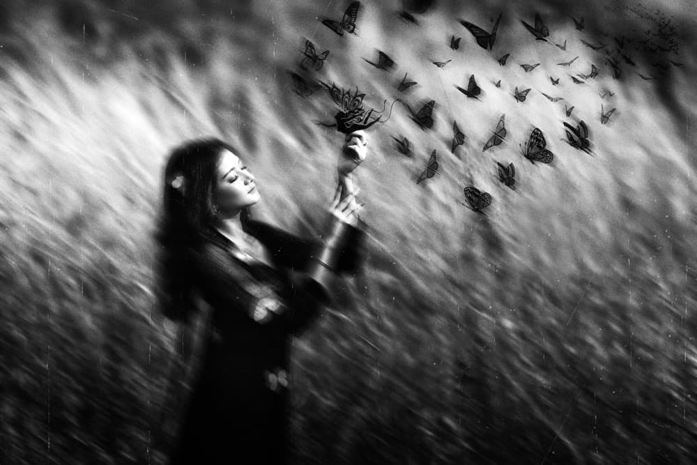 Ethereal Butterfly Release by Abr Abe — canvas wall art