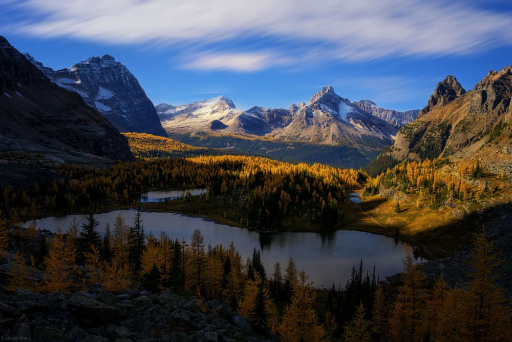 Golden Larch Mountain Lake by Johnny Zhang — canvas wall art