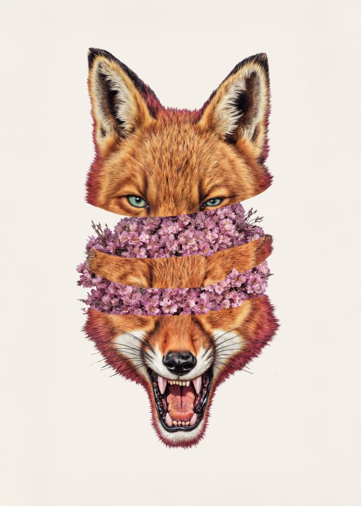 Wild Fox Bloom