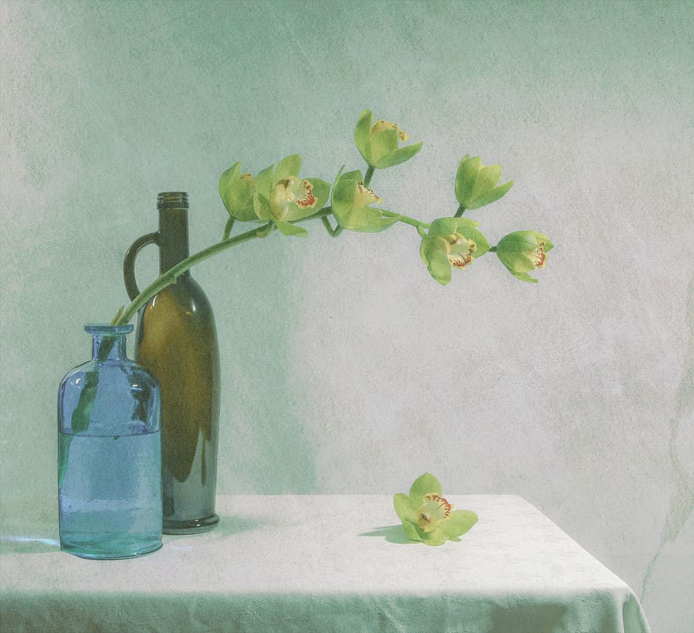 Orchids and Blue Bottle by Fangping Zhou — canvas wall art