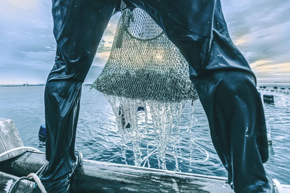 Coastal Oyster Harvest by Agus Adriana — canvas wall art