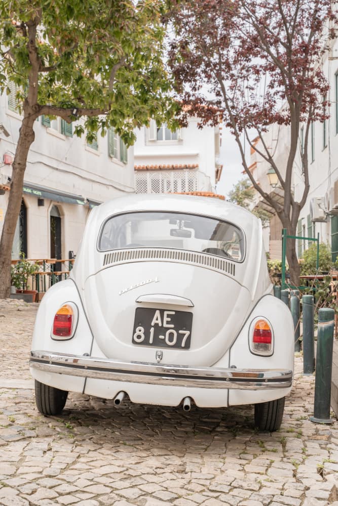 White Beetle on Cobblestone by Henrike Schenk — canvas wall art