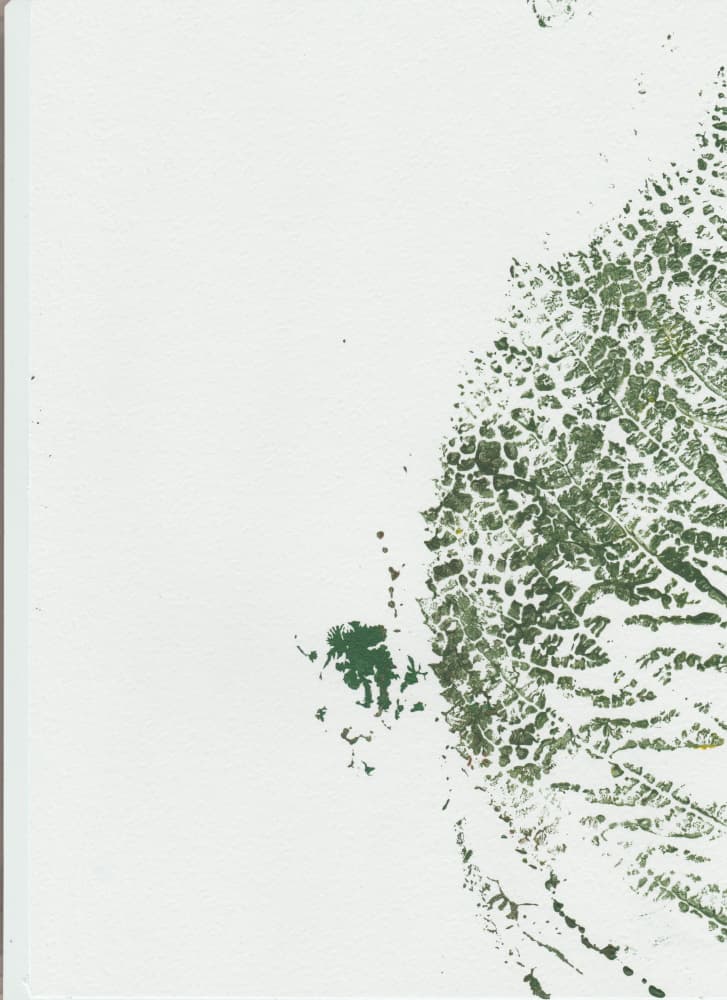 Botanical Leaf Print by Maira Ribena — canvas wall art