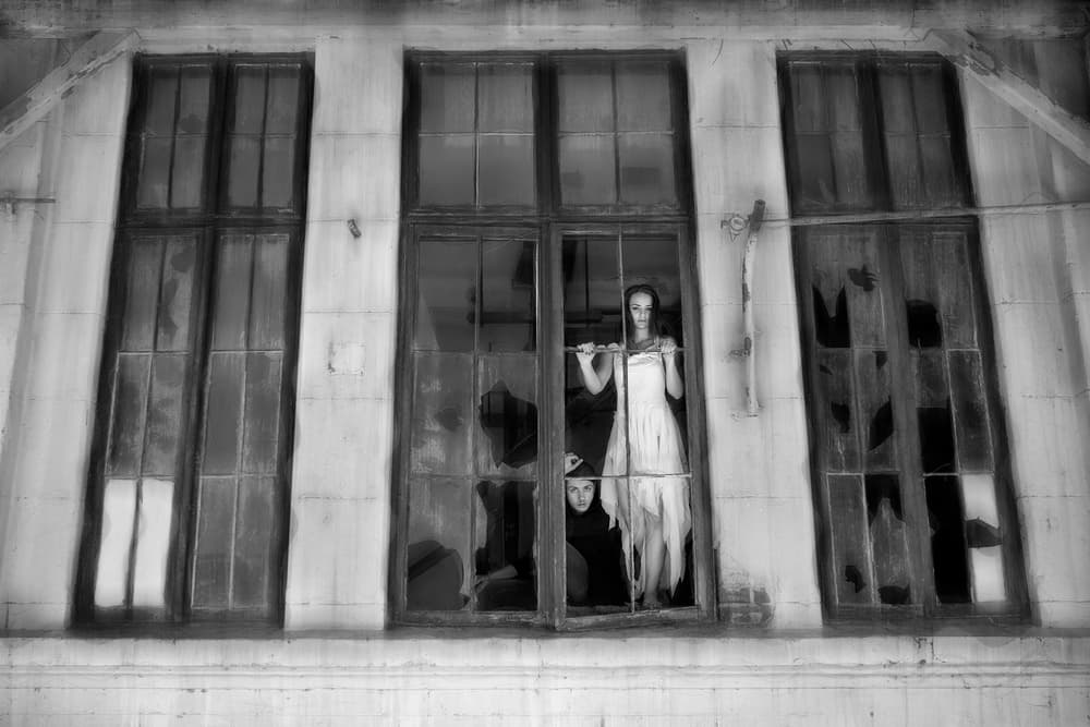 Windows by Livia Corcoveanu — canvas wall art