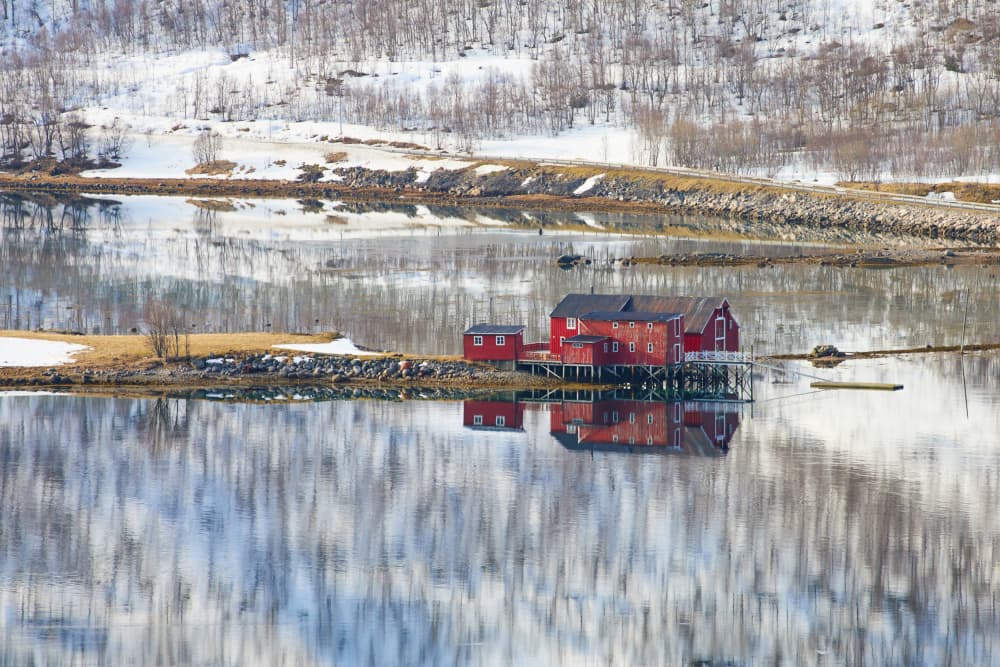 Red Cabins Winter Reflection by Avital Hershkovitz — canvas wall art