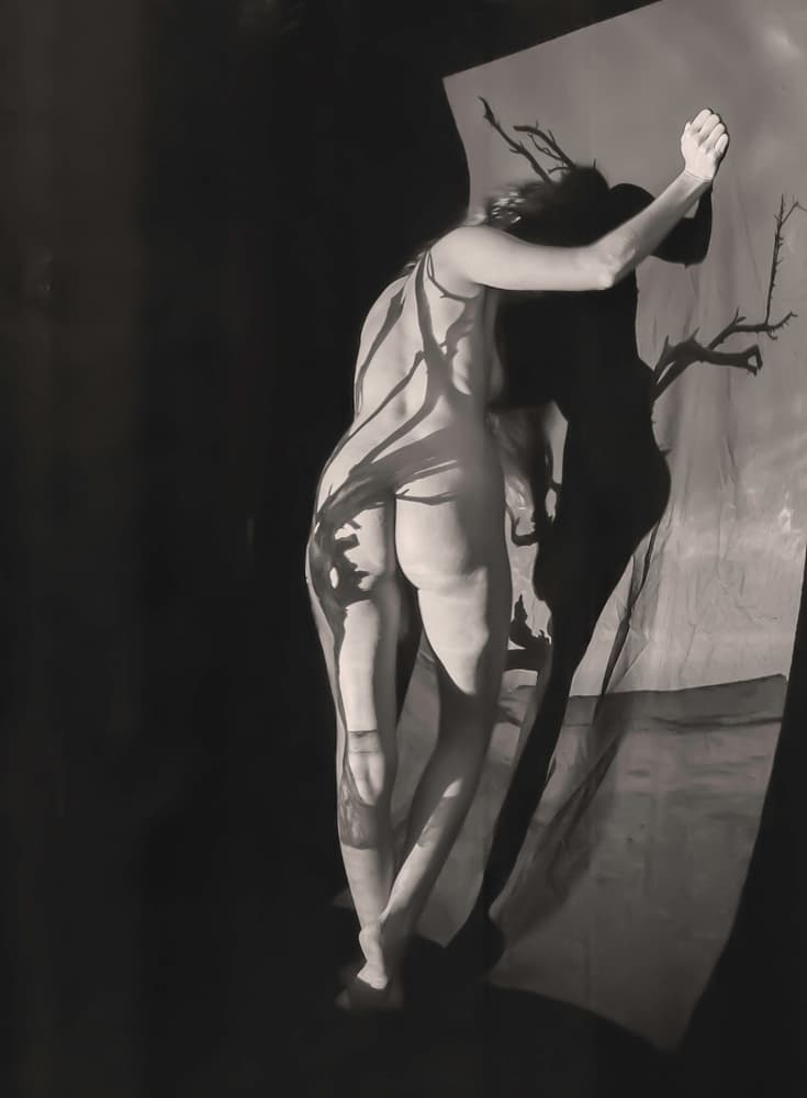 Nude Shadow Play by Ari Kordonsky — canvas wall art