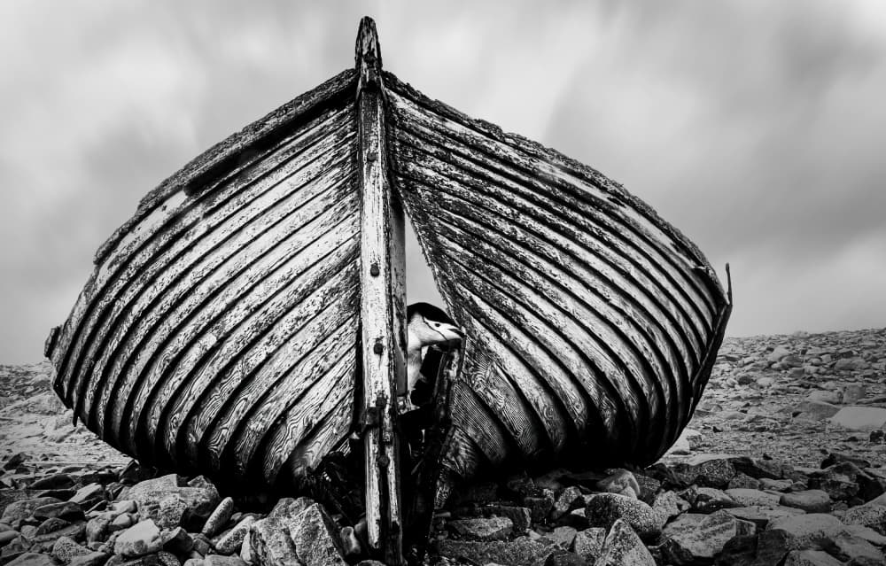 Weathered Boat Wreck by Jie Jin — canvas wall art