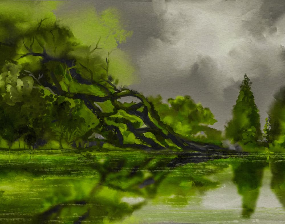 Gnarled Tree Lake by Josie George — canvas wall art
