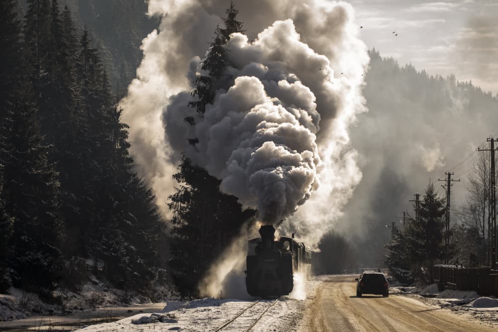 Winter Steam Train Journey by Dan Mirica — canvas wall art