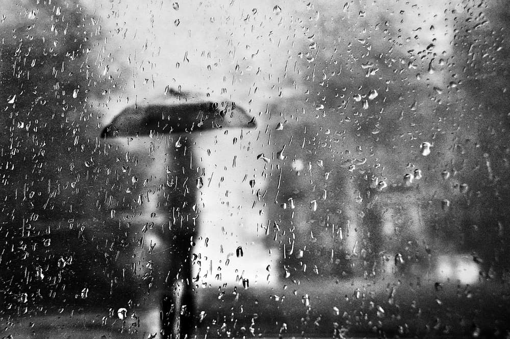 Rainy Day Umbrella by Nicoleta Gabor — canvas wall art