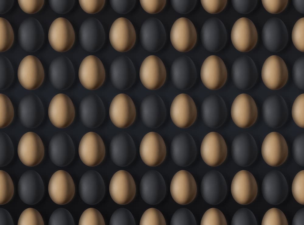 Contrasting Egg Pattern by Yujie Zhang — canvas wall art