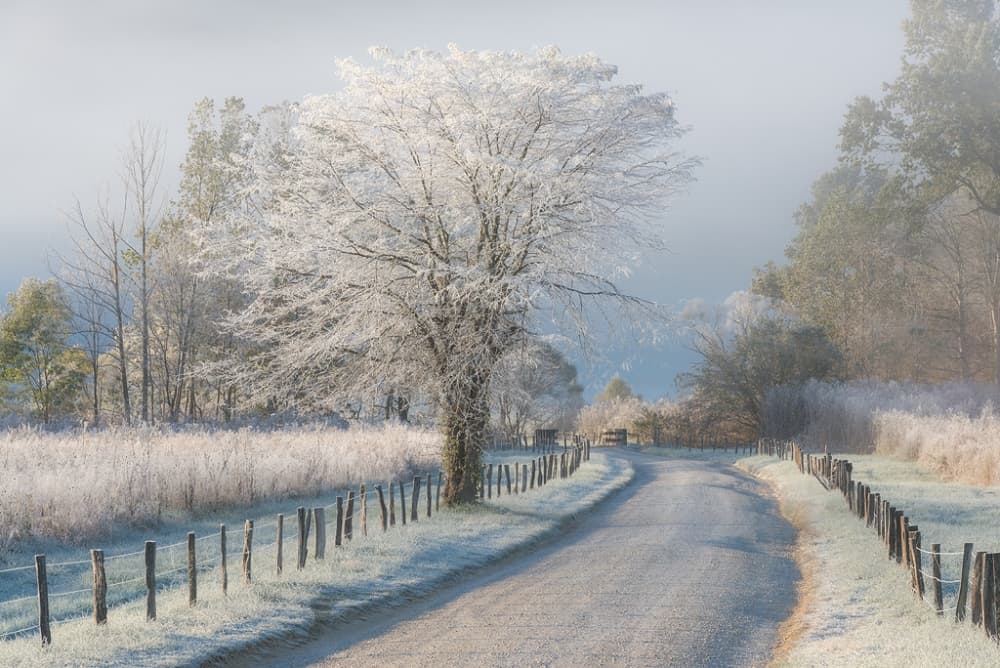 Frosty Winter Road by Chris Moore — canvas wall art