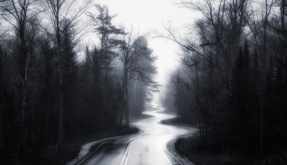 Winding Foggy Road by David Rothstein — canvas wall art