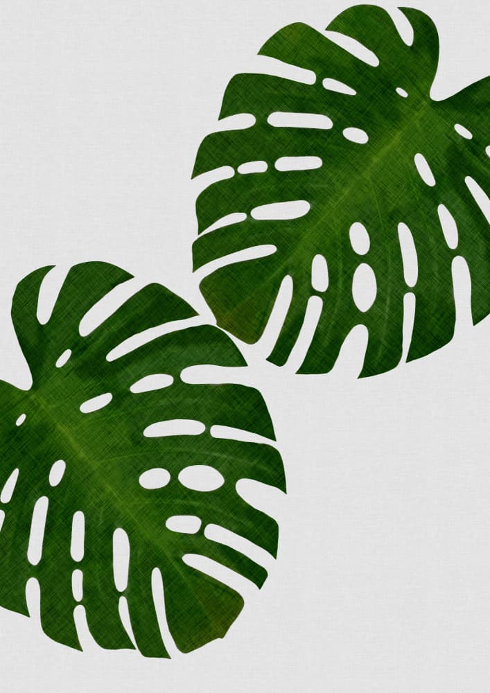Lush Green Monstera by Orara Studio — canvas wall art