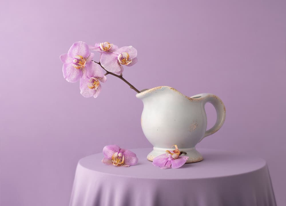 Elegant Lavender Orchids by Margareth Perfoncio — canvas wall art