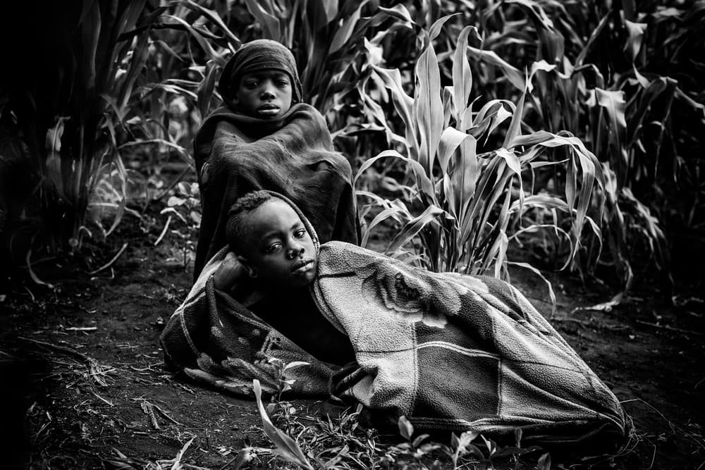 Pensive Children in Cornfield by Vedran Vidak — canvas wall art