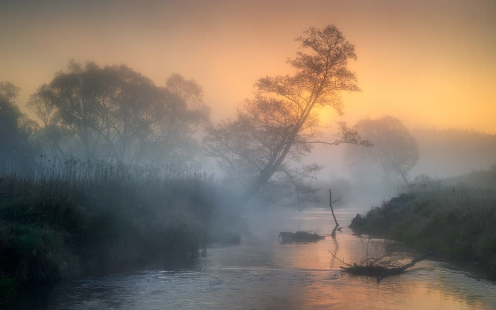 Misty River Sunrise by Tomasz Rojek — canvas wall art