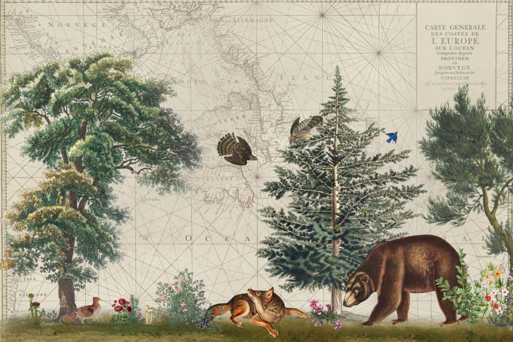 Vintage Map Forest Wildlife by Andrea Haase — canvas wall art