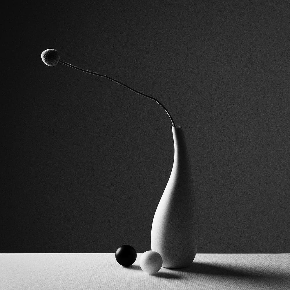 Monochrome Minimalist Still Life by Kristina Oveckova — canvas wall art