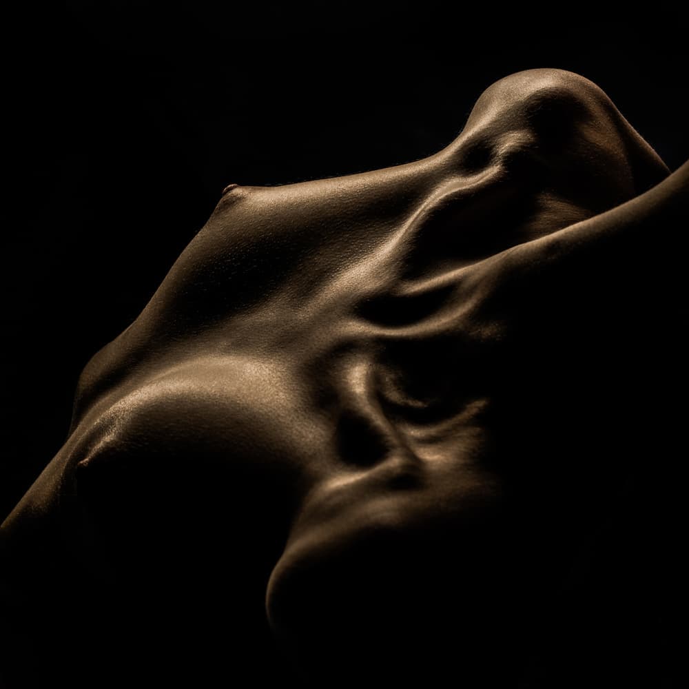 Sensual Nude Form by AURIMAS VALEVICIUS — canvas wall art