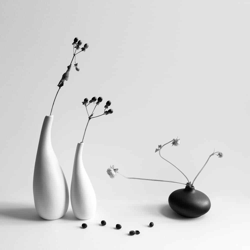 Quiet Botanical Arrangement by Aidong Ning — canvas wall art