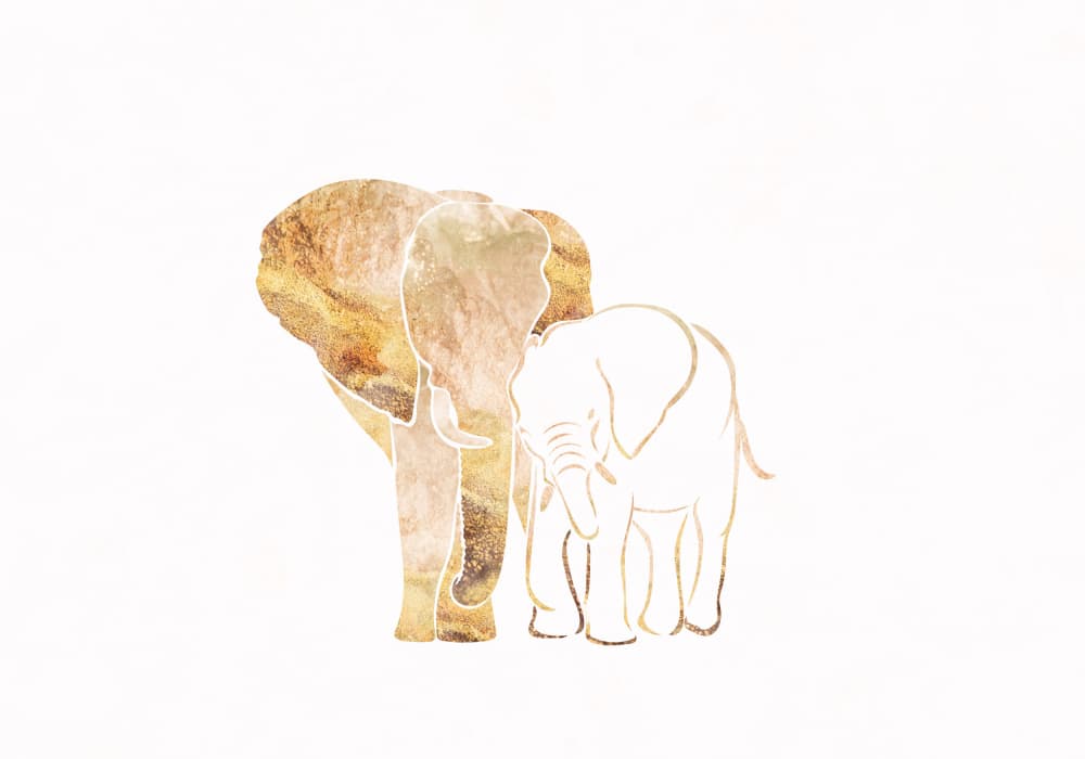 Golden Elephant Family by Sarah Manovski — canvas wall art